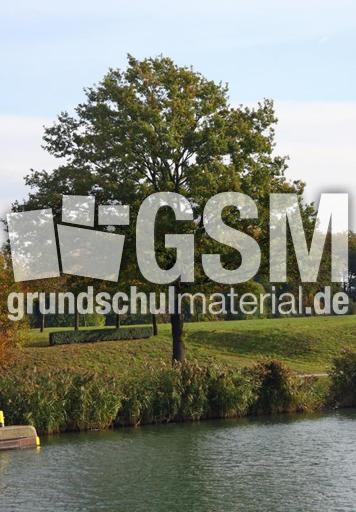 Herbststimmung-10-09 048.jpg